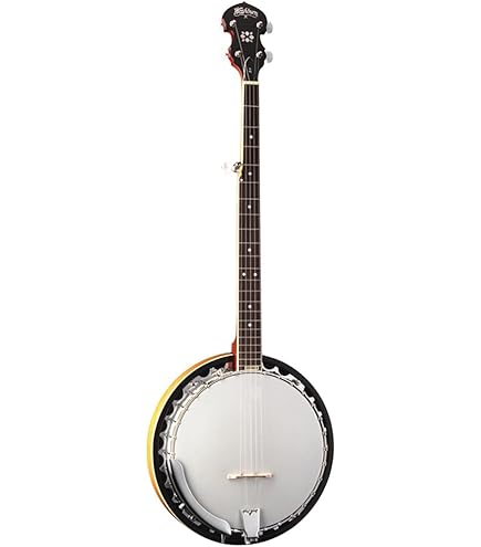 Amazon.com: Morgan Monroe, 5-String Banjo (MB-9) : Musical Instruments